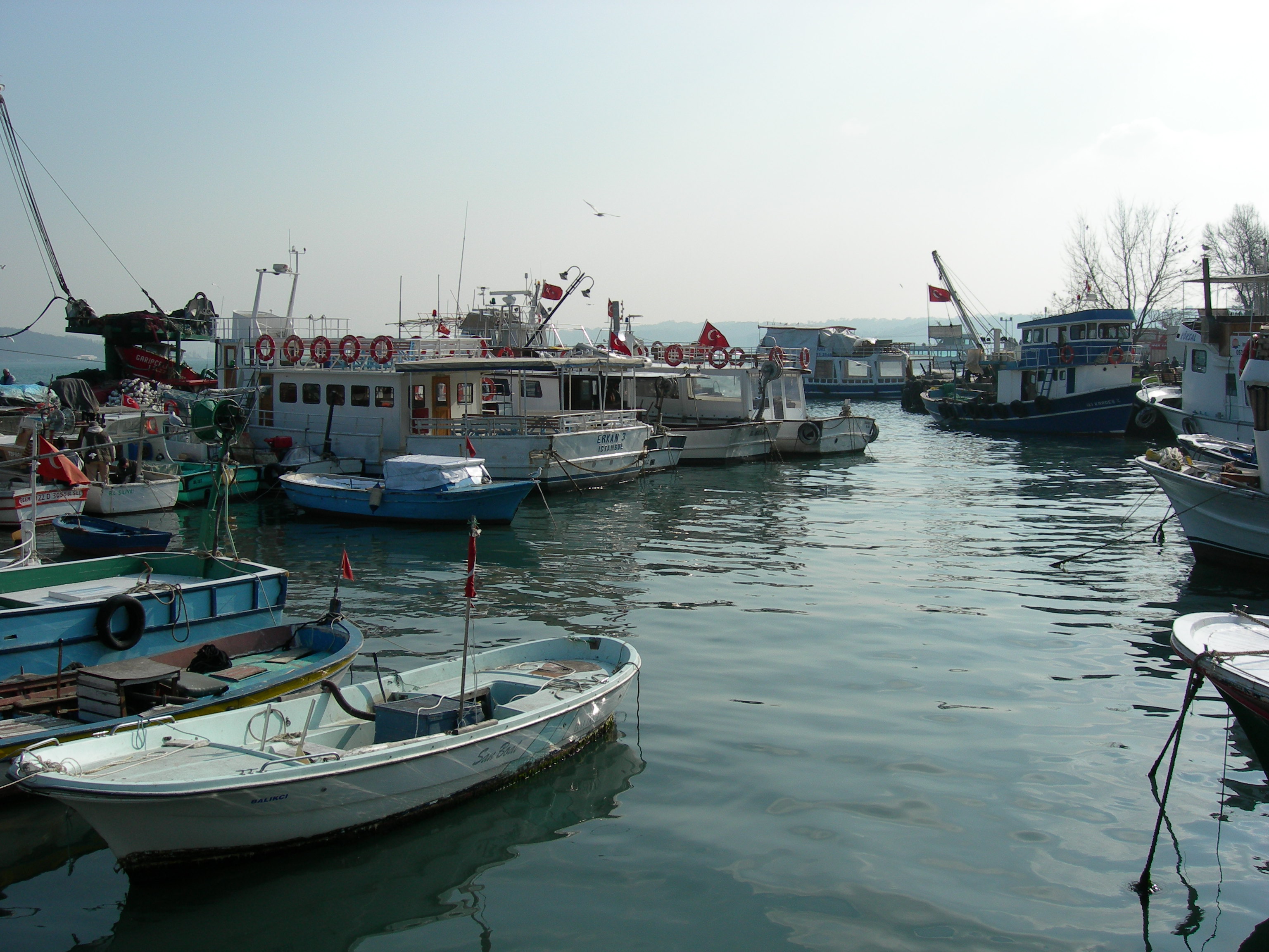 Sariyer's Harbour