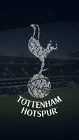 Tottenham Hotspur wallpaper - phone