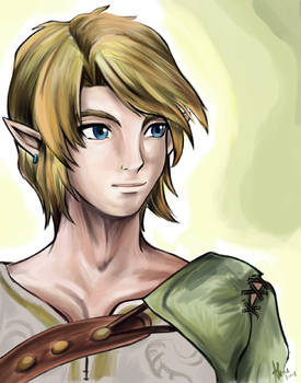 -Twilight Princess- Link