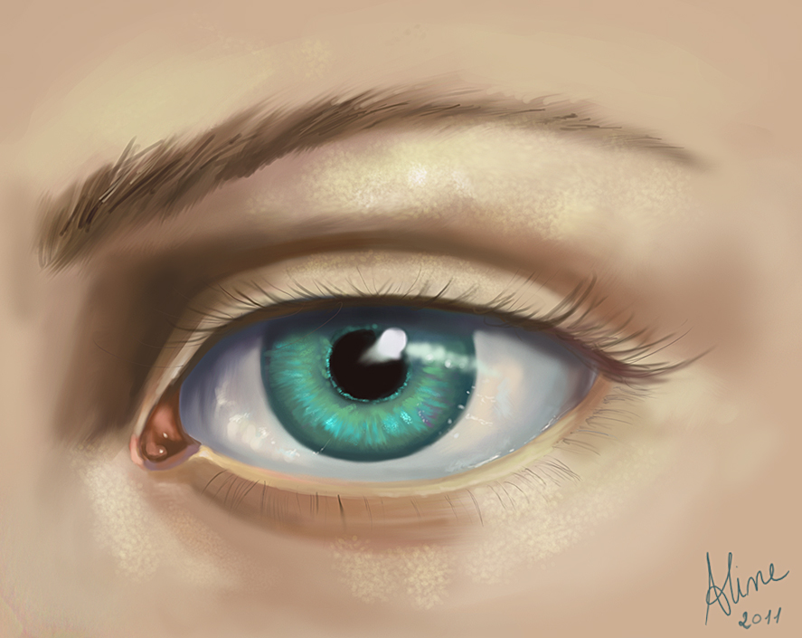 Eye Study