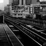 Metro-thailande-lloyd-rokita