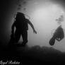 Photographie-plongee-var-sous-marine-plongeur-no