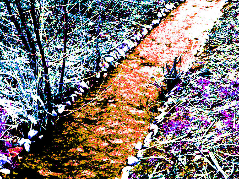 Posterisation Photographie Riviere Orange Couleur by Lloyd-Rokita on ...