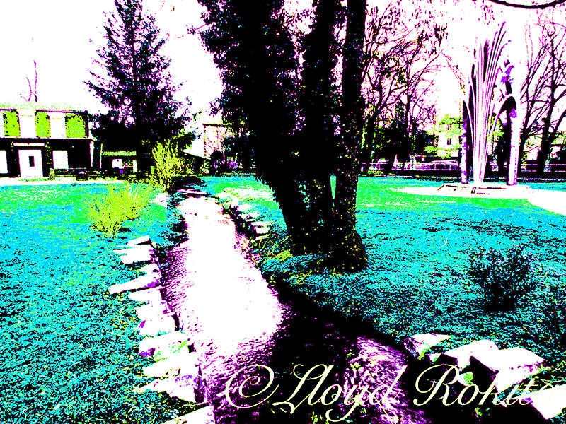 Posterization Photo Pop Art Color by Lloyd-Rokita on DeviantArt