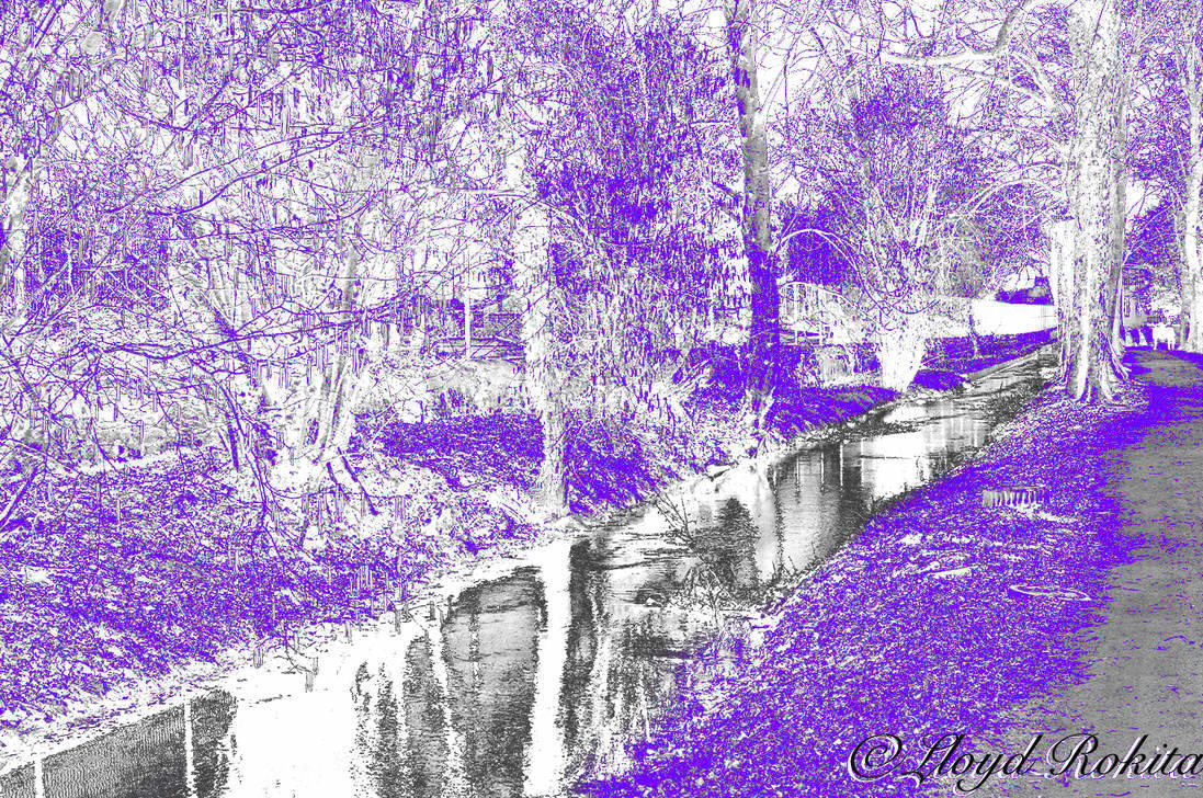 Posterisation Photo Photographie Riviere Violette by Lloyd-Rokita on ...