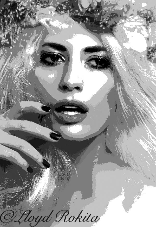 Posterisation Photo Photoshop Isohelie affiche by Lloyd-Rokita on ...