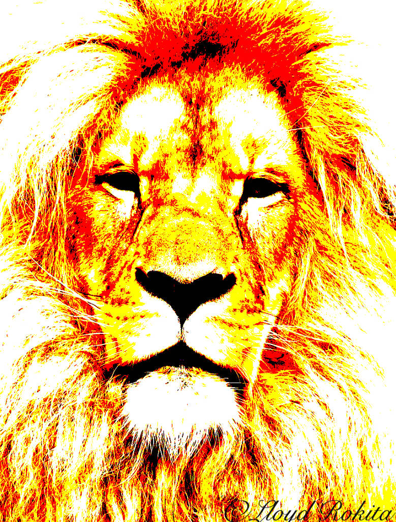 Posterisation-photo-photoshop-isohelie-lion by Lloyd-Rokita on DeviantArt