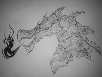 Dragon sketch