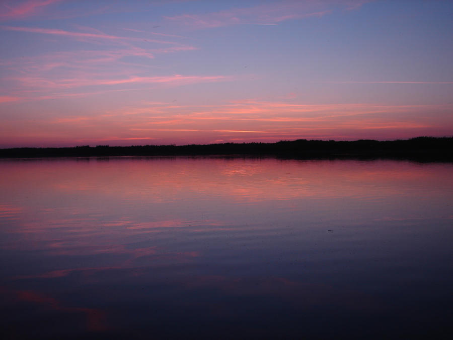 Purple sunset