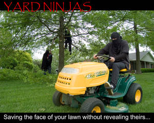 Yard Ninjas