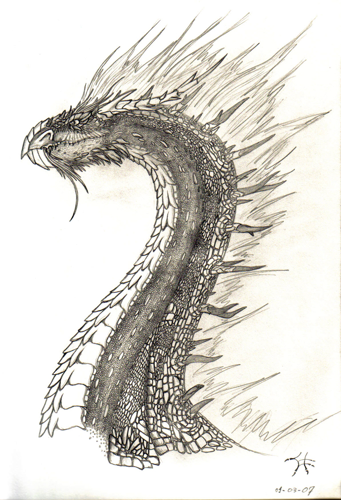 Draconis Glaucum Sketch