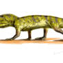 Proterosuchus yuani