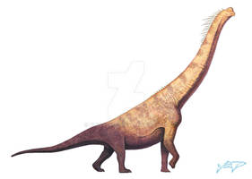 Brachiosaurus altithorax (WIP...)