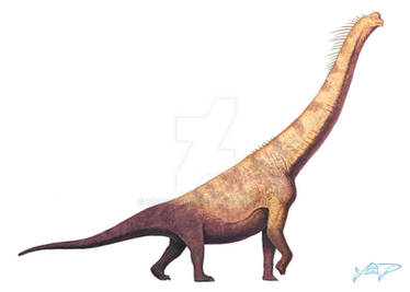 Brachiosaurus altithorax (WIP...)