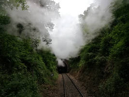 Heath Hill Tunnel