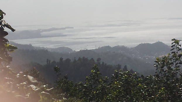 Lookout Point, near Grand Etang Lake