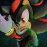 Shadow the Hedgehog Portrait