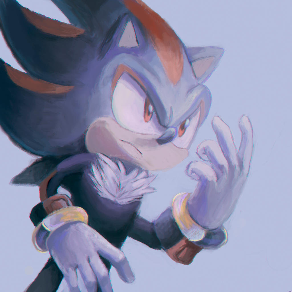 Shadow Portrait by JustASonicFan on DeviantArt