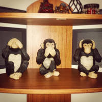 The Three Monkeys