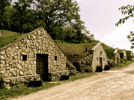 wine cellars