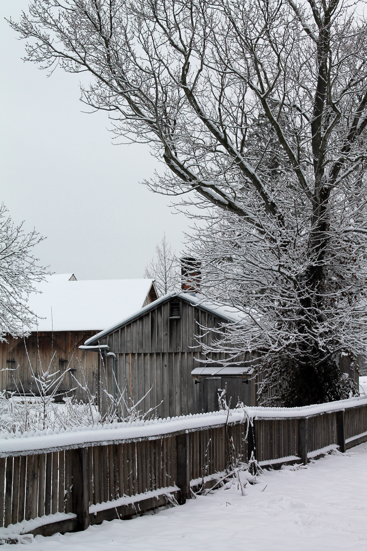 Blacksmiths Barn