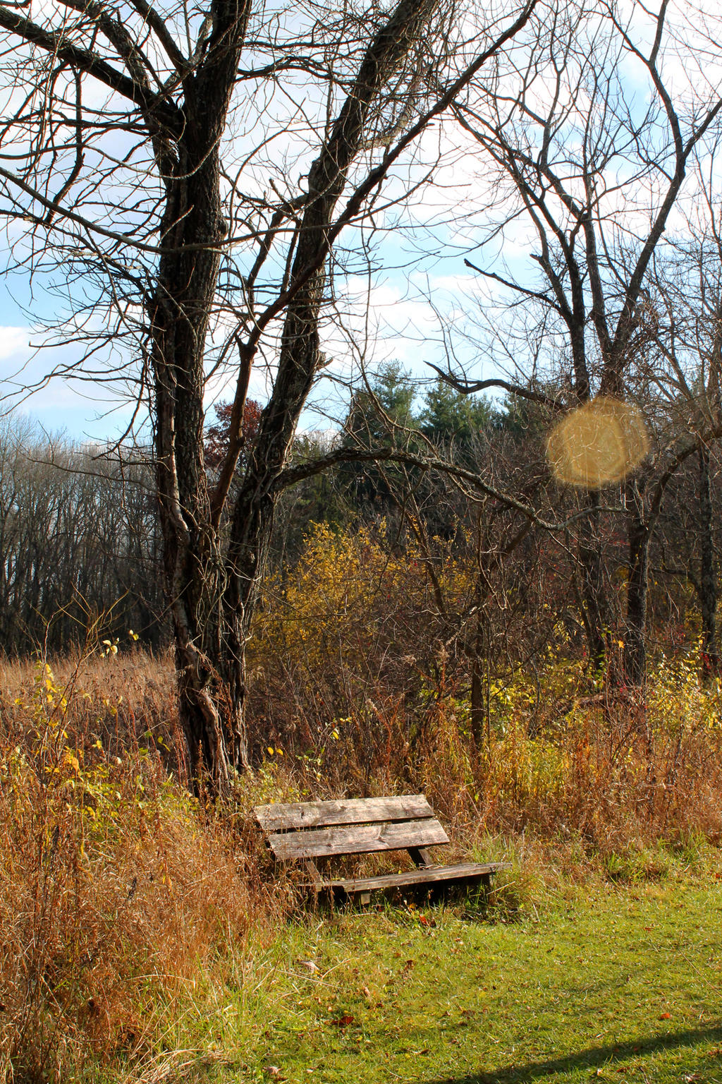 Forgotten Bench by MoonShadowPhoto on DeviantArt
