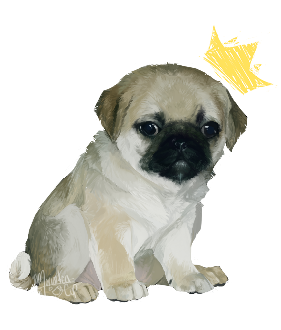 Pug Prince