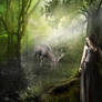 The hunt