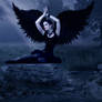 The dark angel