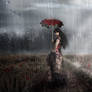 Rainy afternoon