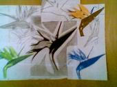 Bird of paradise collage