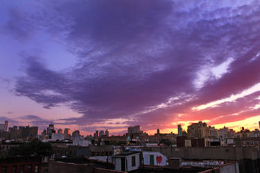 A Roof With a View