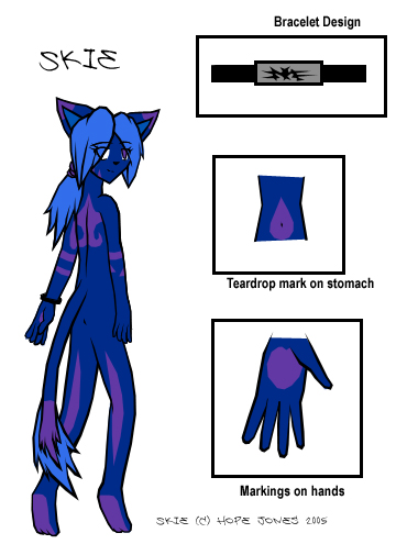 Skie Reference Sheet