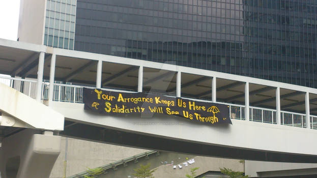 Black Banner@2014 Umbrella Movement