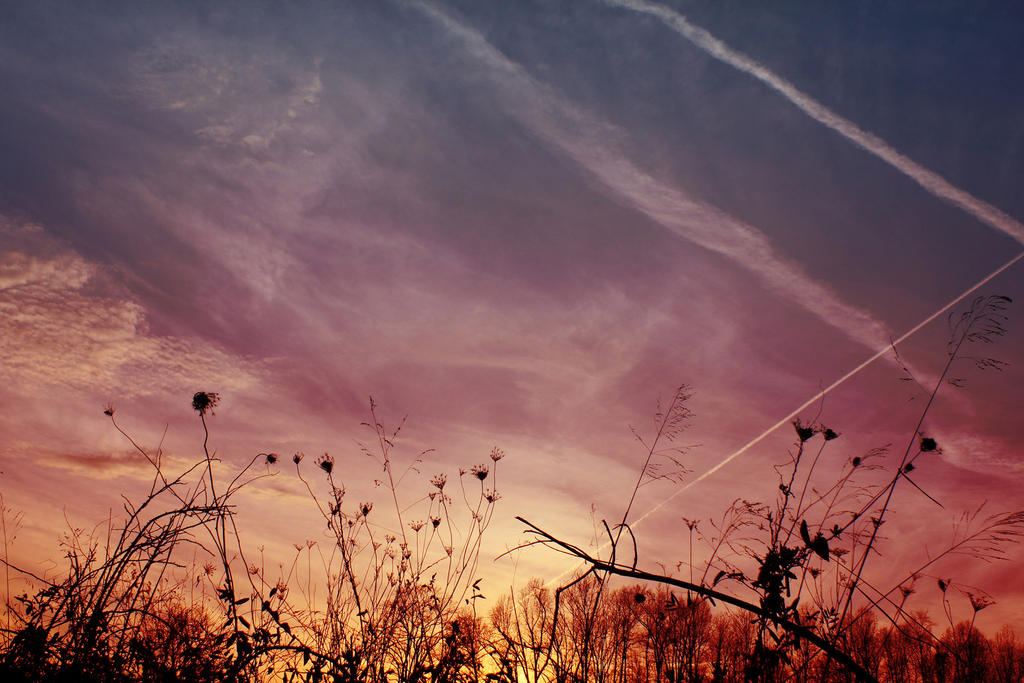 Sunset On Lace