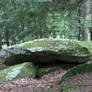 Forest Stock 01