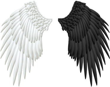 Good and Evil Angel Wings PNG