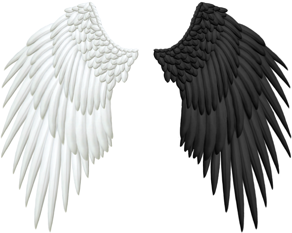 Good and Evil Angel Wings PNG