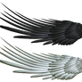 Good and Evil Angel Wing PNG 2