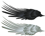 Good and Evil Angel Wing PNG 2