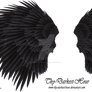 Black Angel Wing - Stock