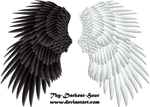 Good and Evil Wings 03 PNG