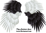 Good and Evil Wings 04 PNG