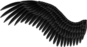 Spread Black Wings PNG