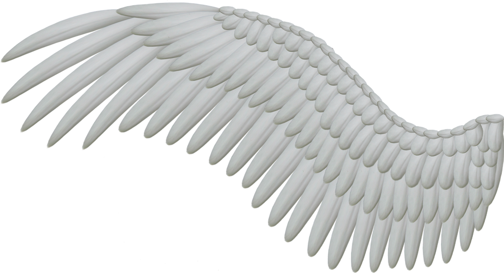 Spread White Wings PNG