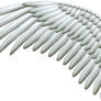 Spread Silver Wings PNG