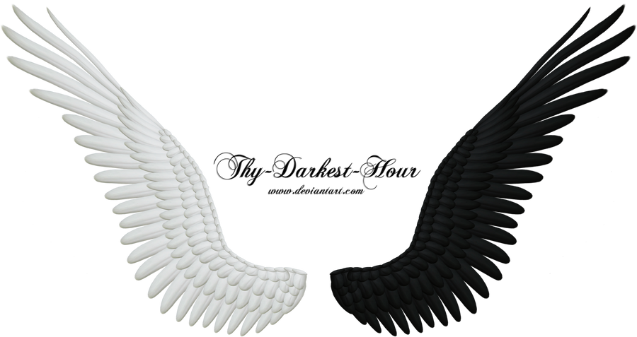 Good Evil Wings PNG 04 by Thy-Darkest-Hour
