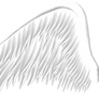 Good and Evil Angel Wings PNG 05