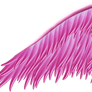 Pink Angel Wing PNG