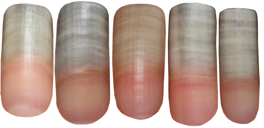 Fingernail PNG Stocks